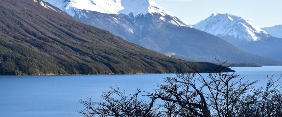 patagonia-incendi - EcoTech News